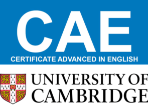 Domina el inglés con el Cambridge English CAE / C1 en Dublin School of English/CEIN